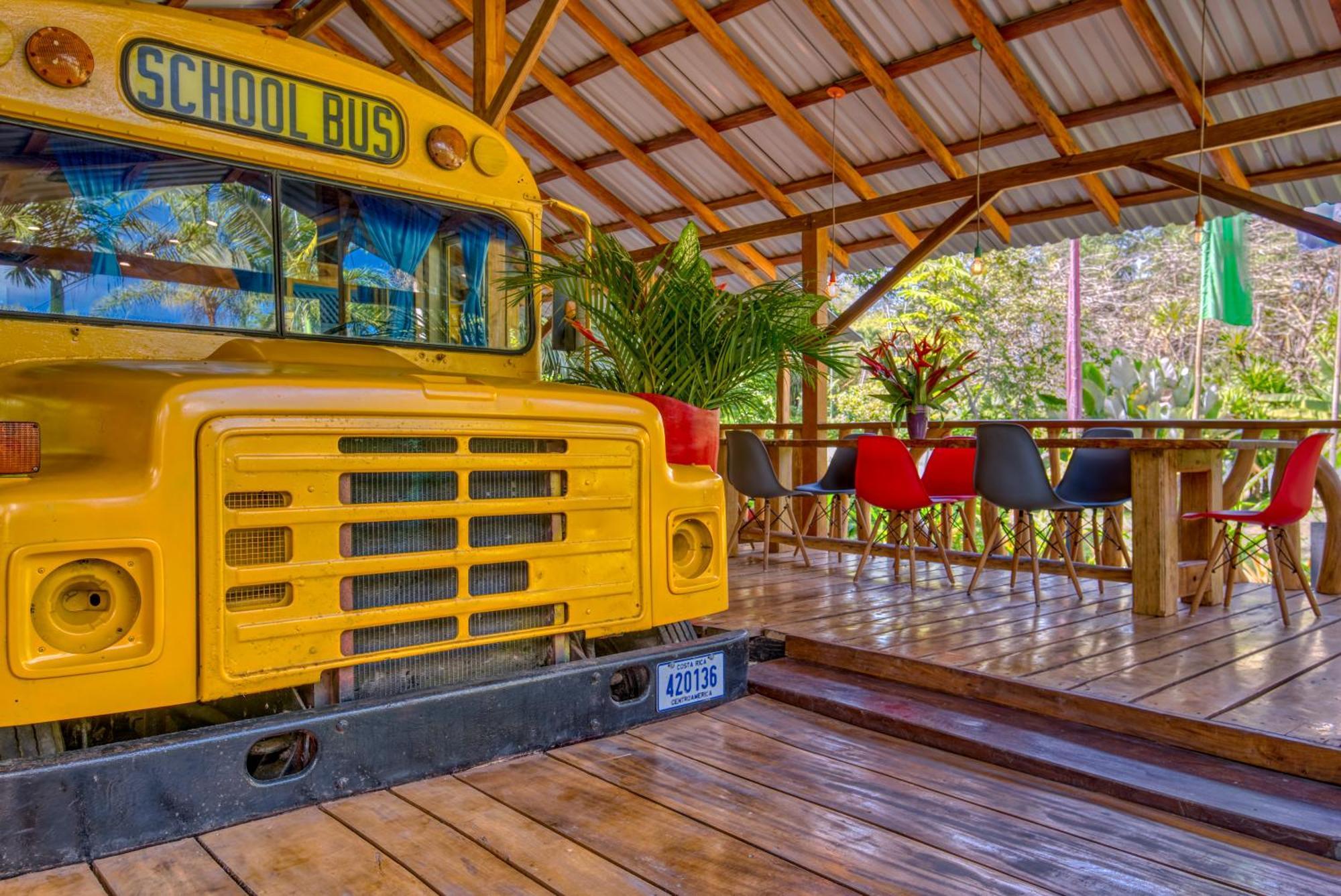 Tree House Beachfront Lodge Puerto Viejo de Talamanca Buitenkant foto