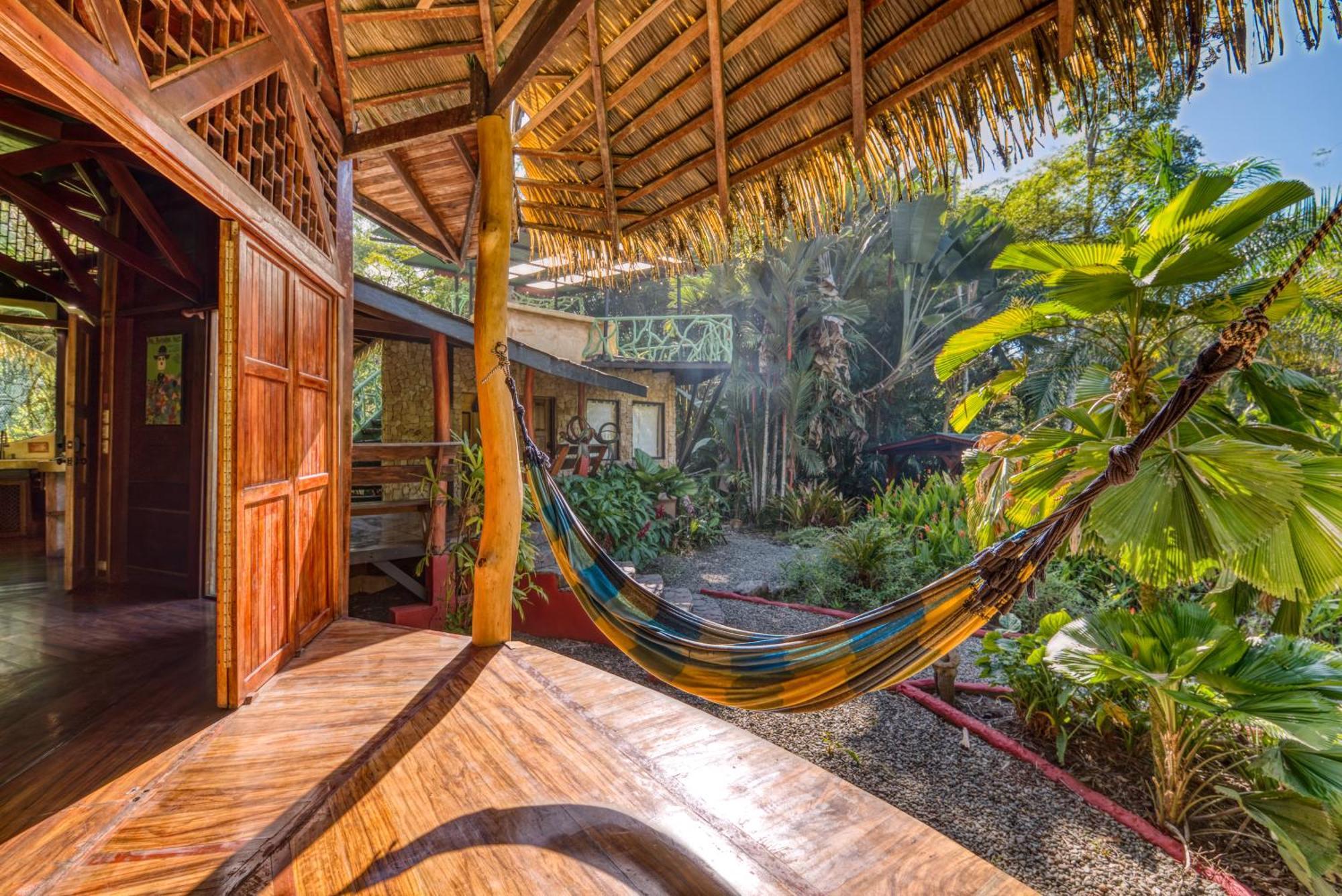 Tree House Beachfront Lodge Puerto Viejo de Talamanca Buitenkant foto