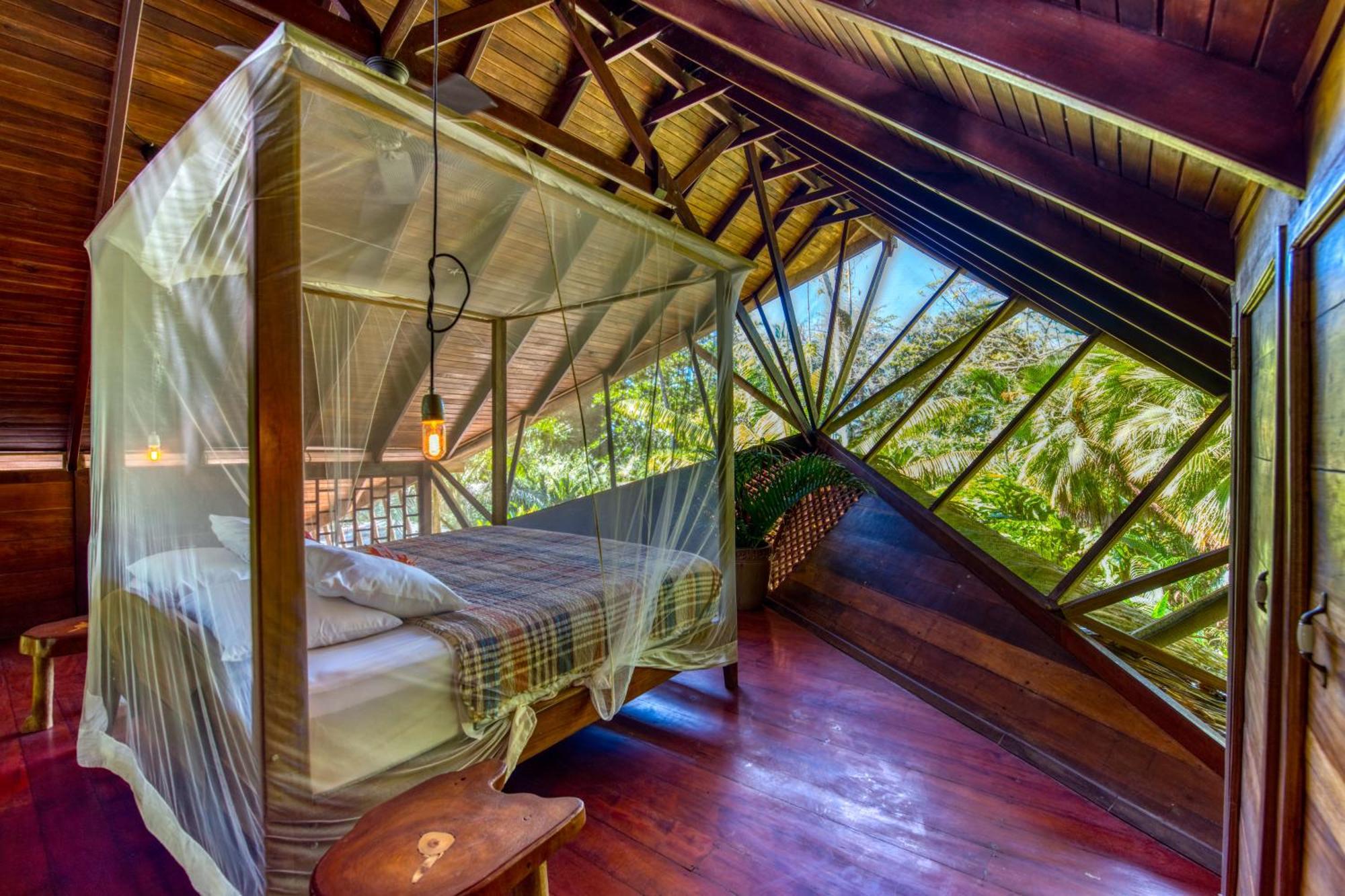 Tree House Beachfront Lodge Puerto Viejo de Talamanca Buitenkant foto