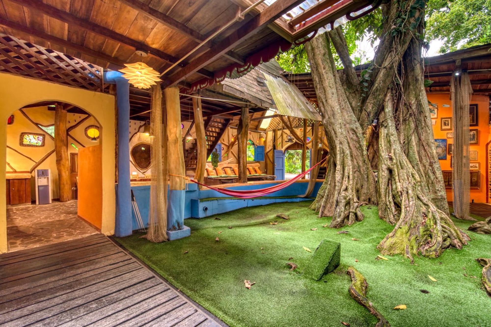 Tree House Beachfront Lodge Puerto Viejo de Talamanca Buitenkant foto