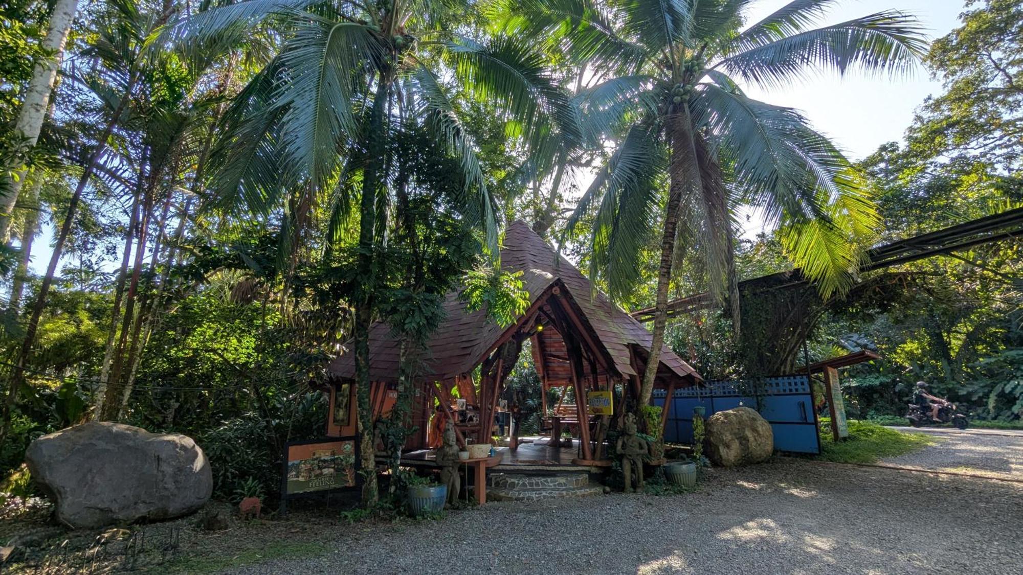 Tree House Beachfront Lodge Puerto Viejo de Talamanca Buitenkant foto