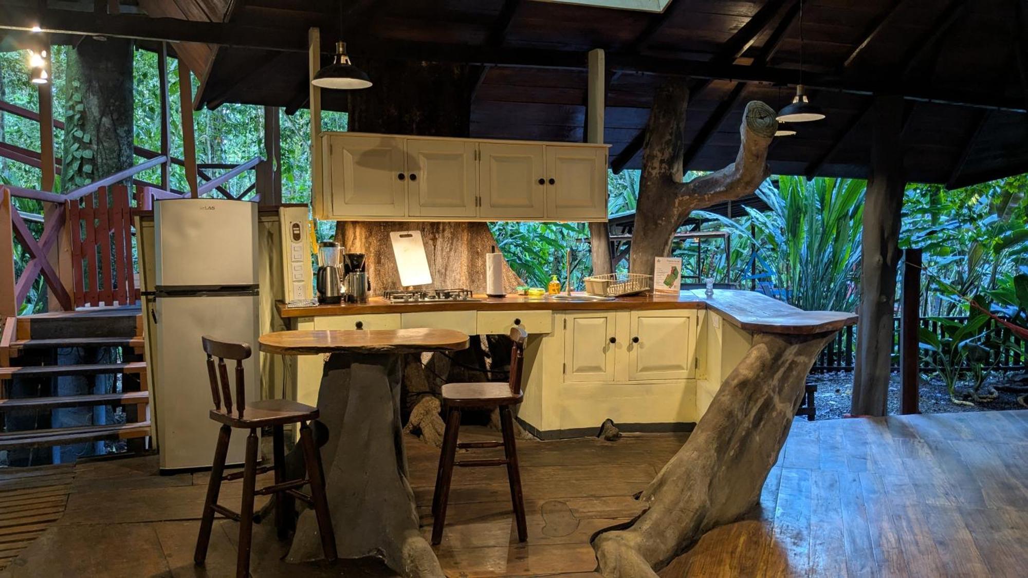 Tree House Beachfront Lodge Puerto Viejo de Talamanca Buitenkant foto