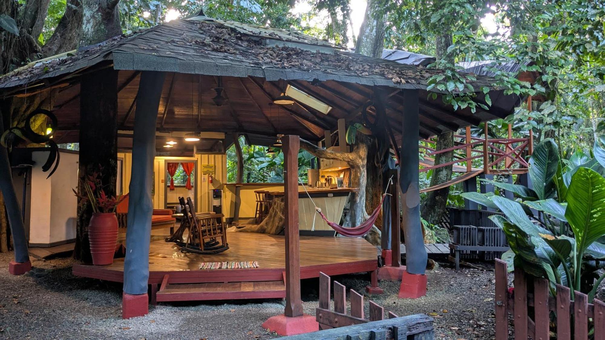 Tree House Beachfront Lodge Puerto Viejo de Talamanca Buitenkant foto