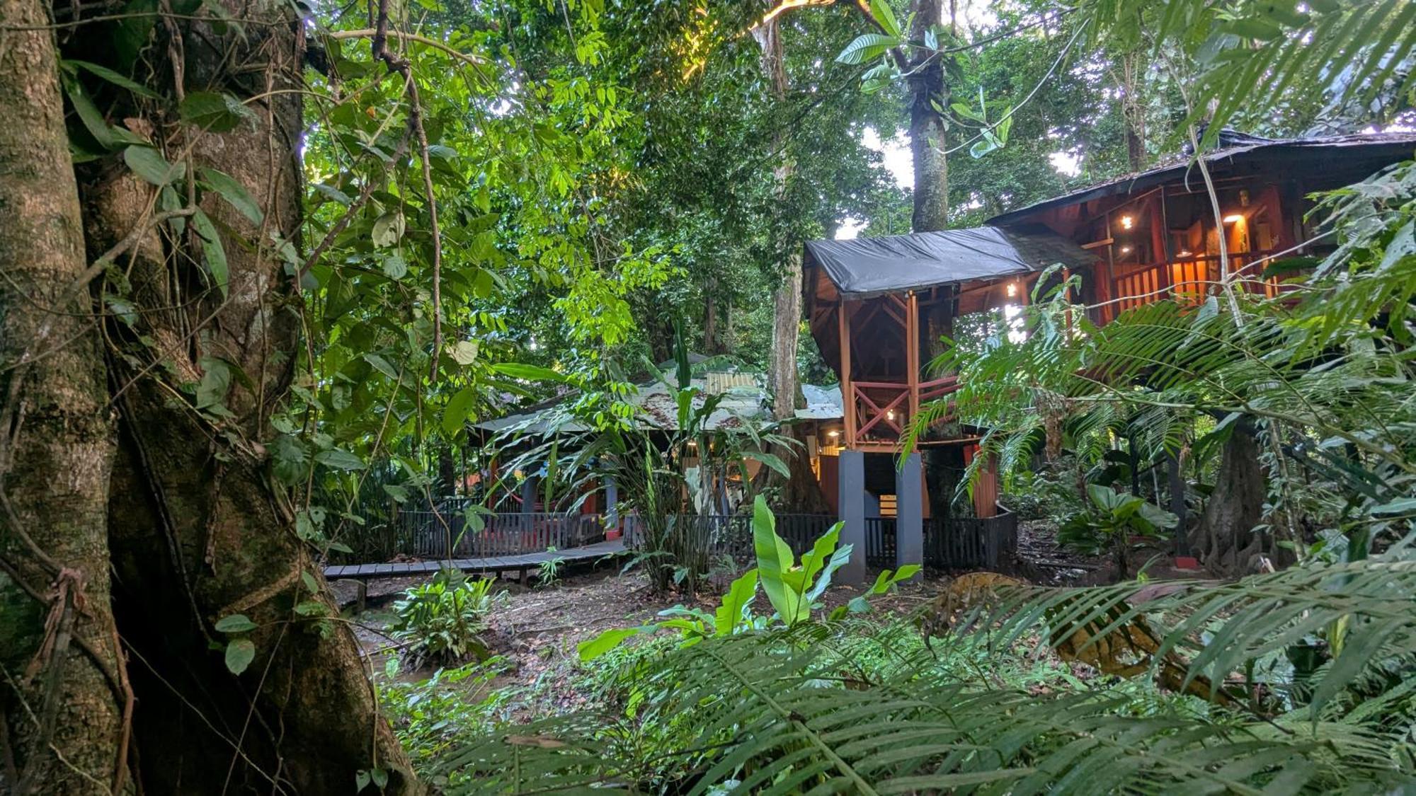Tree House Beachfront Lodge Puerto Viejo de Talamanca Buitenkant foto